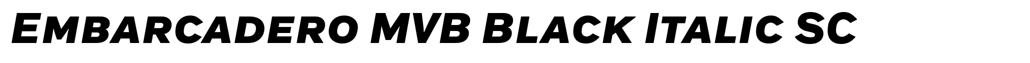 Embarcadero MVB Black Italic SC image